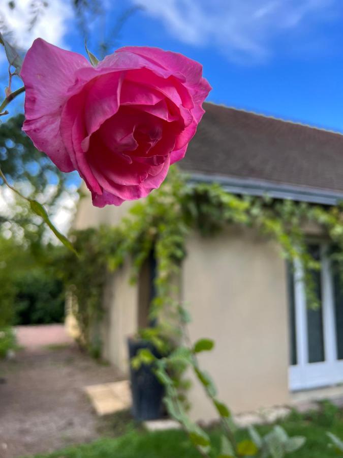 Gsand Le Clos Du May Le Poinconnet Luaran gambar